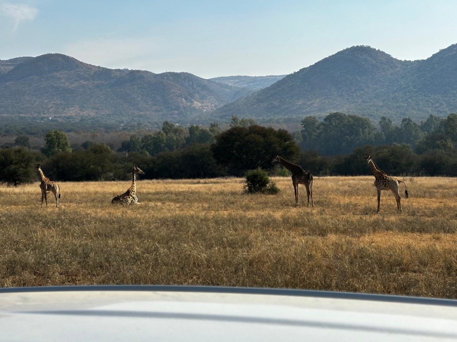 4 Bedroom Property for Sale in Vredefort Free State